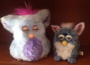 Wallapop furbys