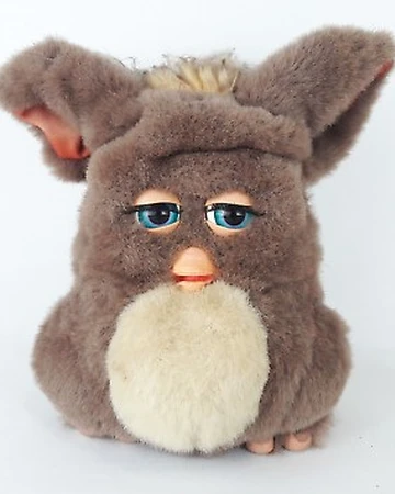 koala furby