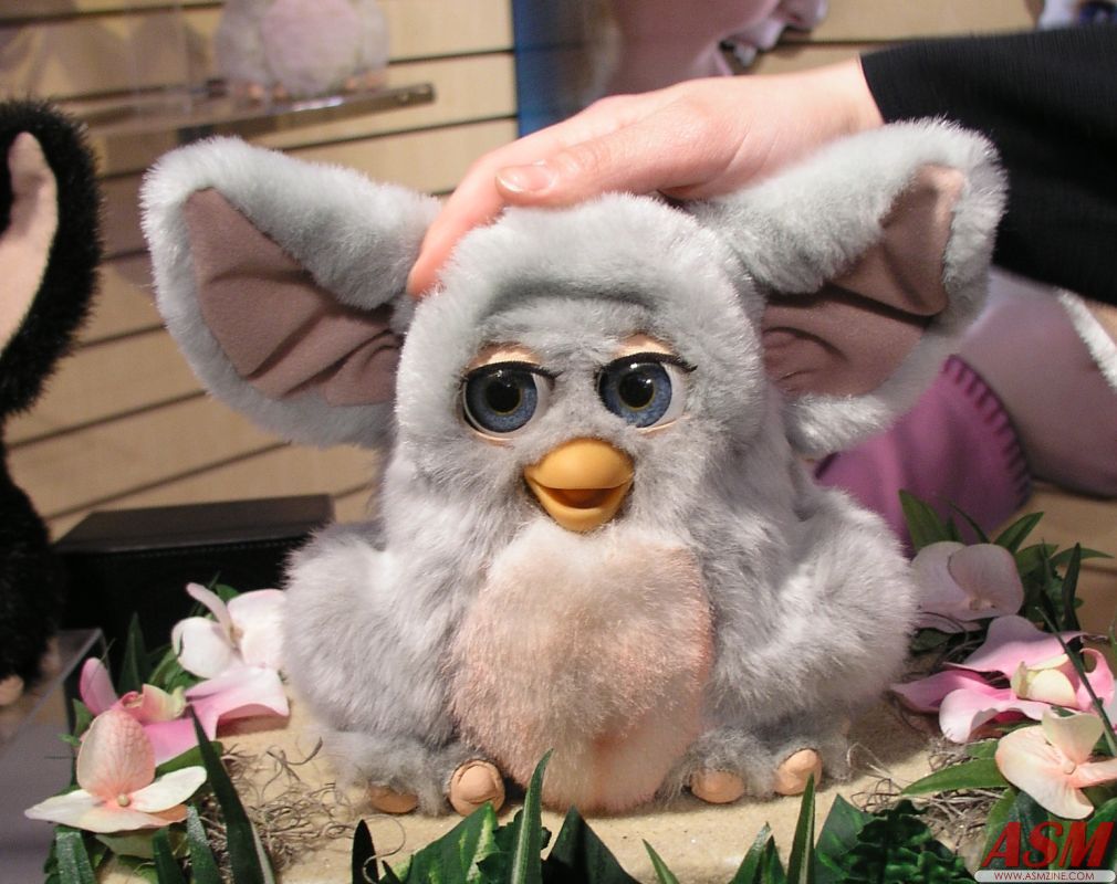 CategoryPrototype 2005 Furby's Official Furby Wiki FANDOM powered