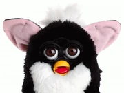 skunk furby