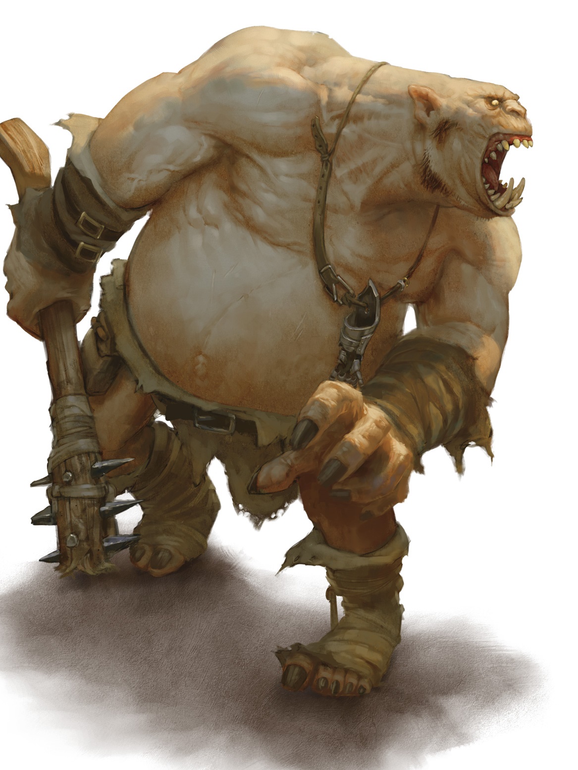 Half Ogre DND