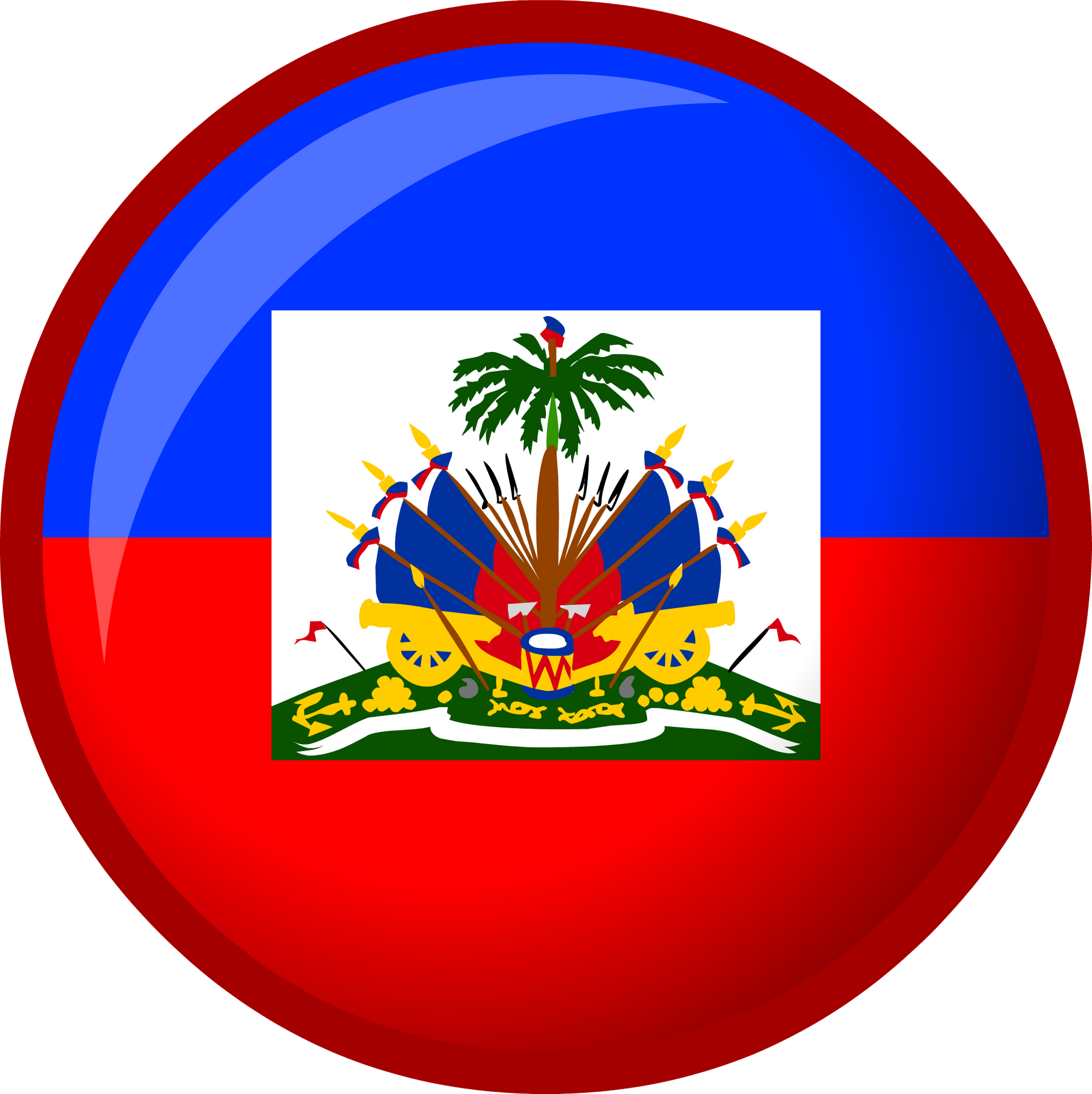 Haiti Flag | Club Penguin Online Wiki | Fandom