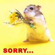 RES Sorry Hamster