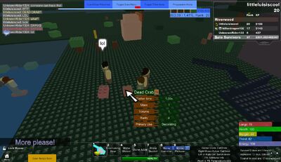 RobloxScreenShot01122013 125620650