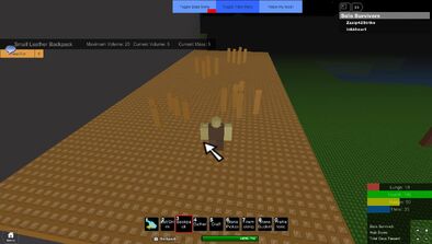 RobloxScreenShot08202012 174117620