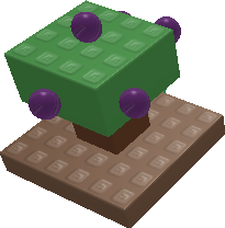Berry Plant