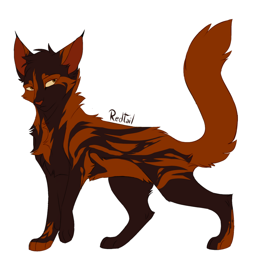 Redtail Warrior Cats Wiki Fandom