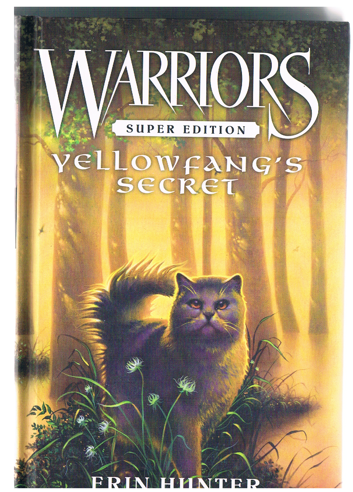 Warrior cats book. Коты-Воители. Золотая коллекция. Тайна Щербатой. Коты Воители тайна Щербатой. Тайна Щербатой коты. Warrior Cats книга.