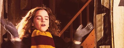 Resultado de imagem para harry potter gif tumblr