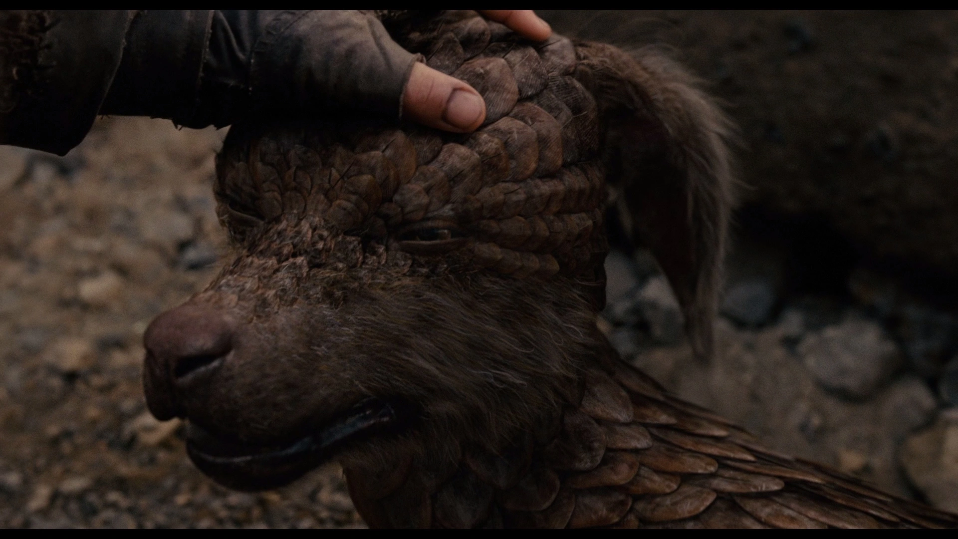 существа 2014