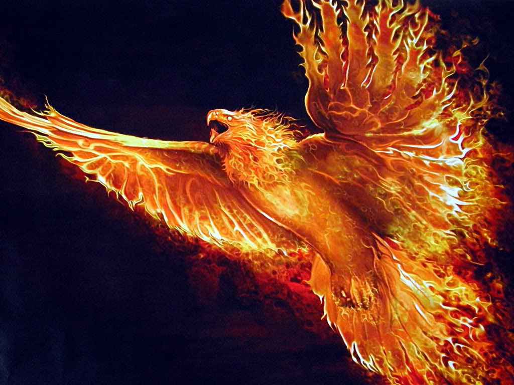 Phoenix | Ologypedia | FANDOM Powered By Wikia