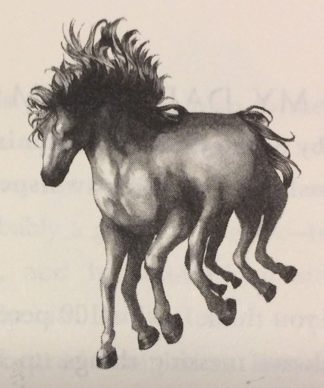 Поступь слейпнира читать. Слейпнир конь. Восьминогий конь Слейпнир. Слейпнир конь Локи. Слейпнир Скандинавская мифология.