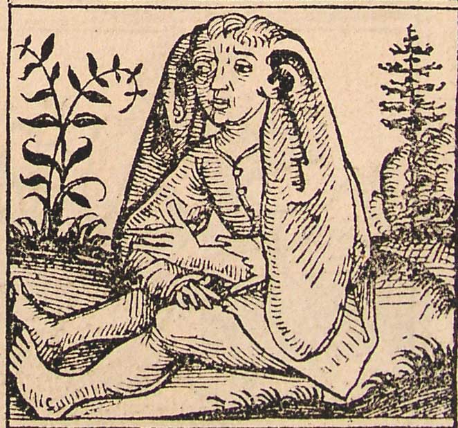 Pandai Riordan Wiki Fandom