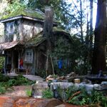 Cabins Riordan Wiki Fandom