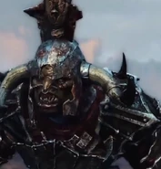 Detruire les rats Detruire les rats