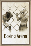 Boxing Arena