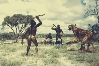 Australopithecus and cat
