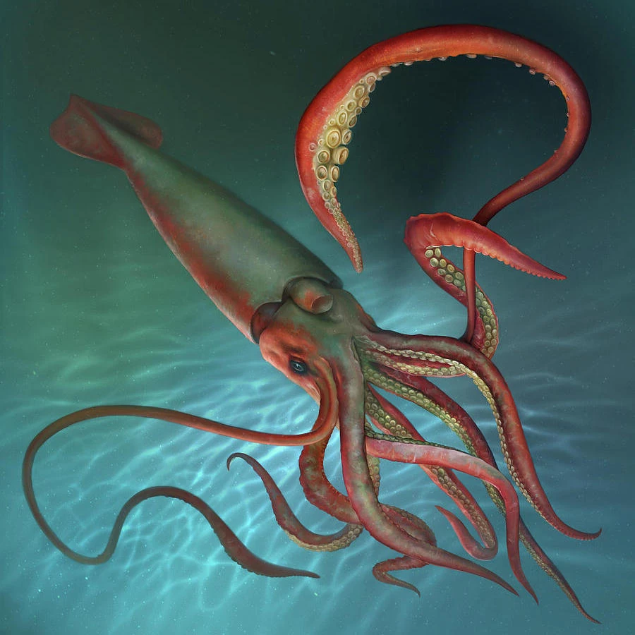 Giant Squid Omniversal Battlefield Wiki Fandom Giant Squid Omniversal Battlefield Wiki Fandom