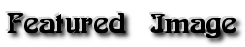 Header-FI