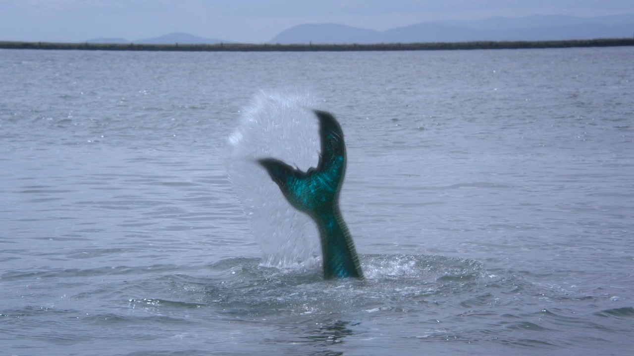 Image - 3x07 Ariel queue de sirène poisson portail océan.png | Wiki