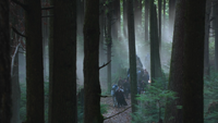 3x12 troupe forêt enchantée