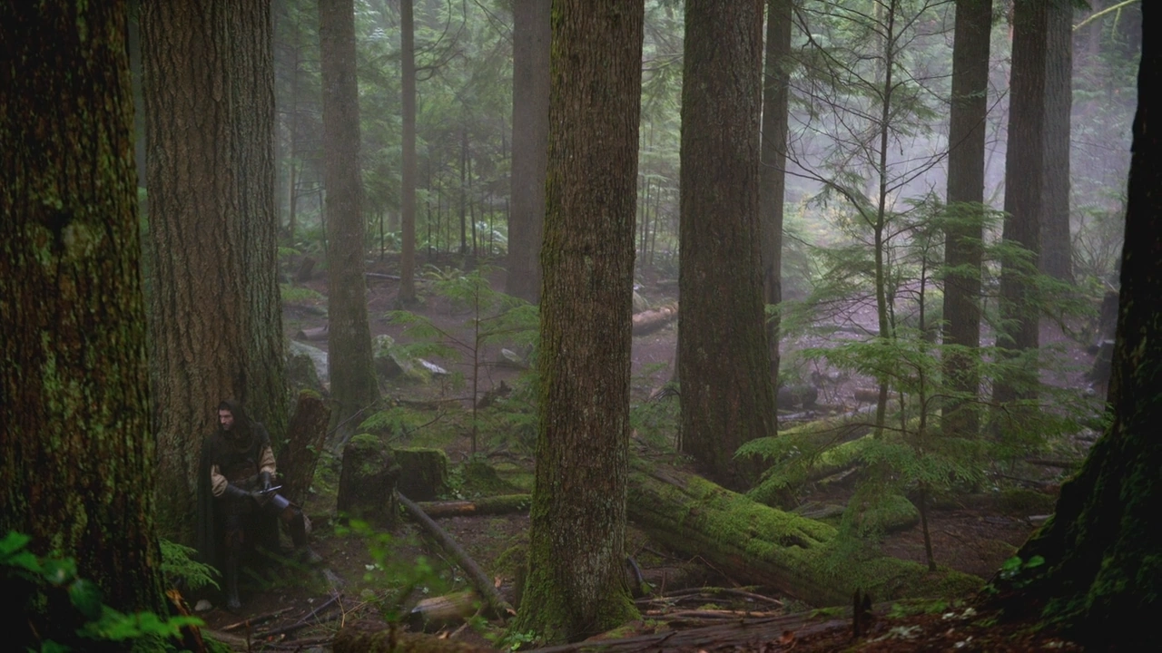 Image 2x19 Robin des Bois attente forêt de Sherwood.png Wiki Once Upon a Time FANDOM