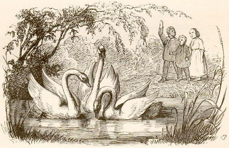 "The Ugly Duckling" | Once Upon a Time Wiki | FANDOM powered by Wikia