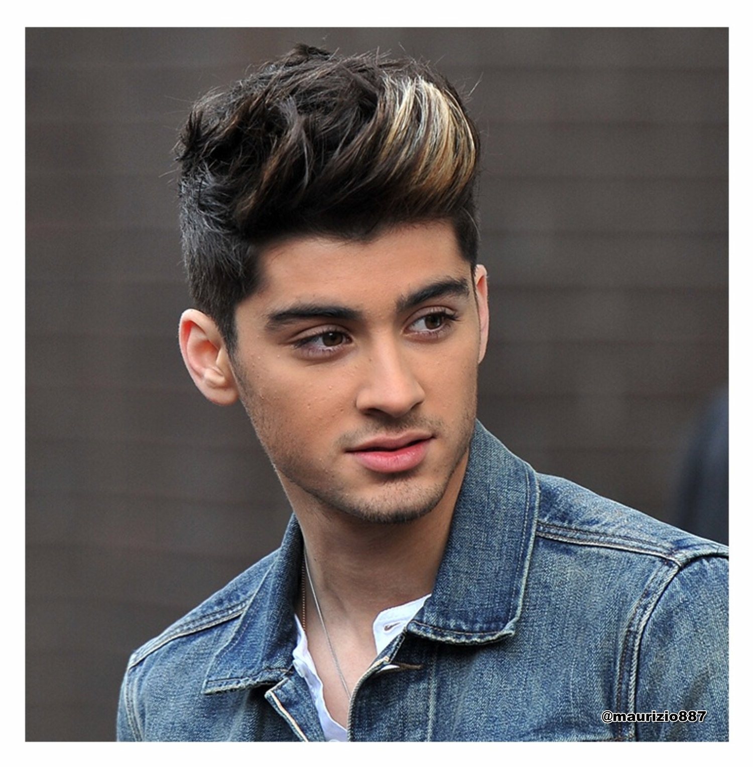Zayn Malik One Direction Wiki Wikia - Riset