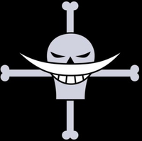 Whitebeard Pirates One Piece Pirate Warriors Wiki Fandom