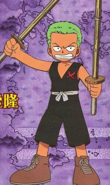 Roronoa Johnny One Piece Fanon FANDOM Powered By Wikia