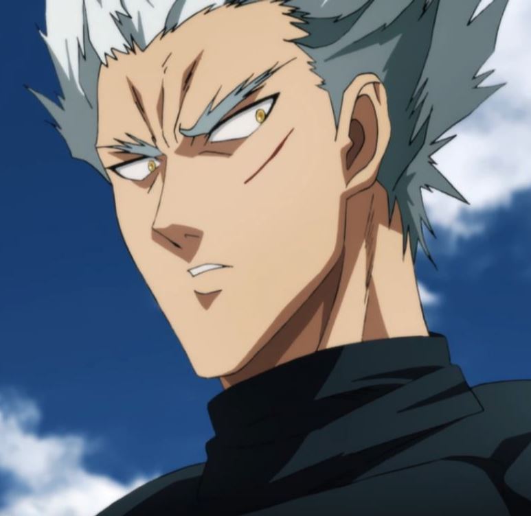 Garou One Punch Man Wikia Fandom