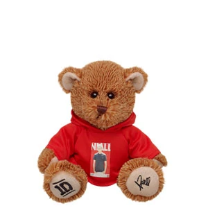 one direction teddy bear