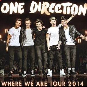 Where We Are Tour 2014