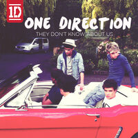 One Direction They Don T Know About Us Lyrics And Pictures Youtube