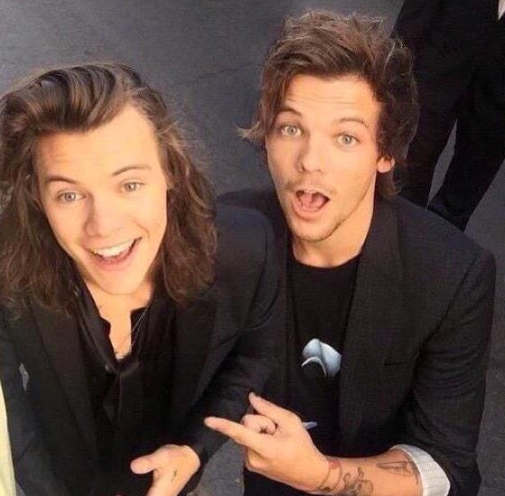 Are louis tomlinson and harry styles from 2014