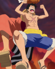Ruffy centaure