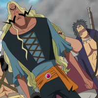 Mcguy One Piece Catala Wiki Fandom