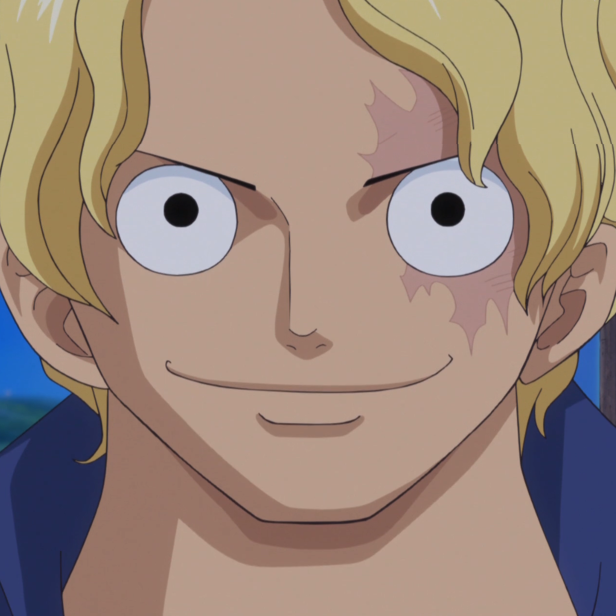 Sabo | One Piece and Fairy Tail Wikia | FANDOM powered by Wikia