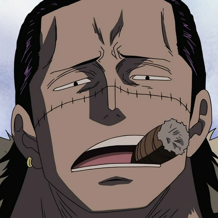 Crocodile | One Piece and Fairy Tail Wikia | Fandom