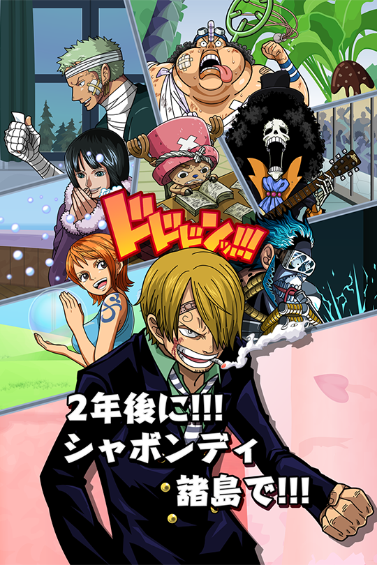 印刷 One Piece 2年後