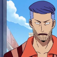 Iceburg One Piece Wiki Fandom