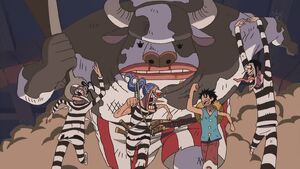 Minotaur run