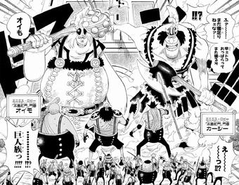 Giants One Piece Wiki Fandom