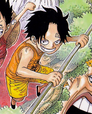 Citation Ace One Piece Citation Ace One Piece