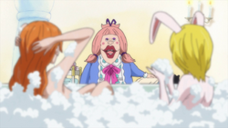 Chiffon Carrot Nami
