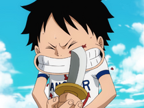 Monkey D. Luffy/History | One Piece Wiki | FANDOM powered by Wikia