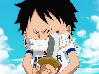 Monkey D Luffy One Piece Wiki Fandom