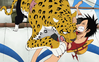 Lucci Mauls Luffy in Leopard Form