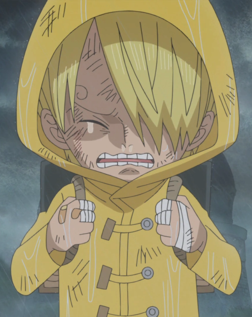 Sanji/Gallery One Piece Wiki Fandom