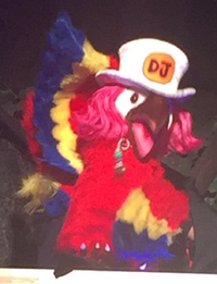 DJ Parrot Live Attraction